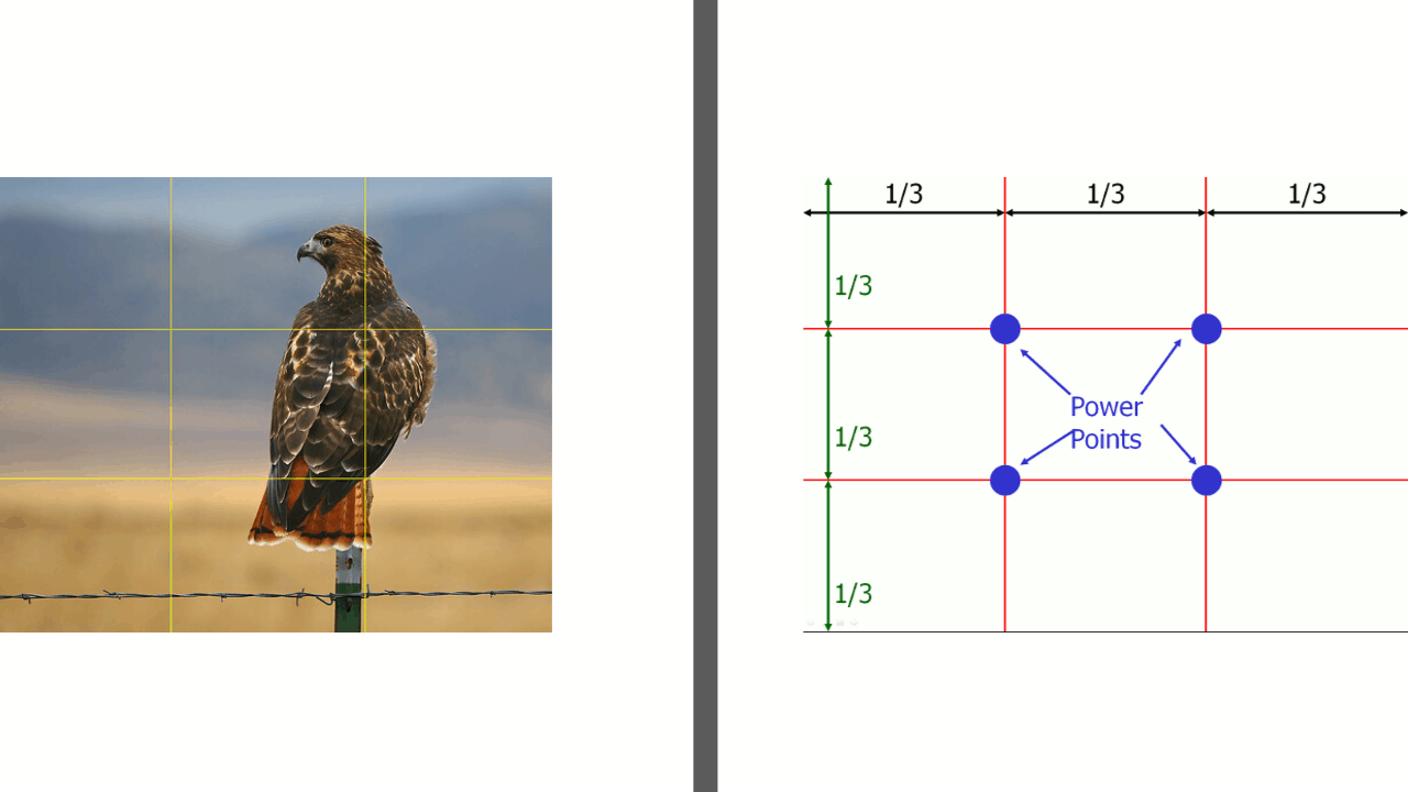 Pillar Section Titles (32)
