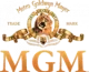 MGM-Condensed-Final-In-Use-e1645496665880